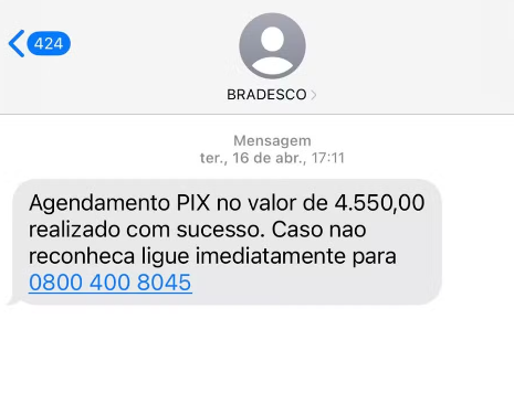 Print de tela de uma mensagem do golpe 0800.